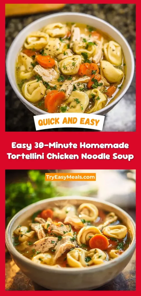 Easy 30-Minute Homemade Tortellini Chicken Noodle Soup 1 Best Easy 30 Minute Homemade Tortellini Chicken Noodle Soup