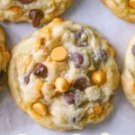 butterscotch chocolate chip cookies 2025 11 21 024636 150x150 1