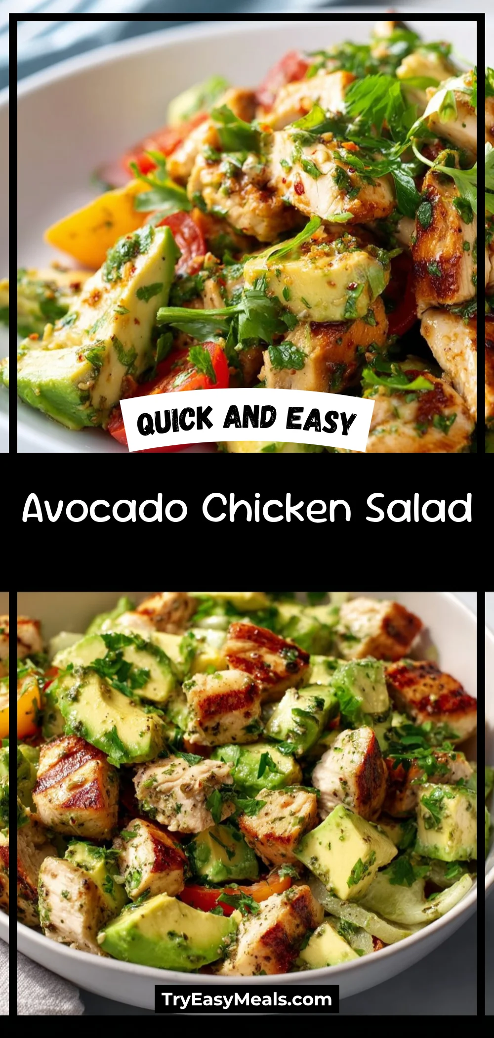 Avocado Chicken Salad 1 Avocado Chicken Salad