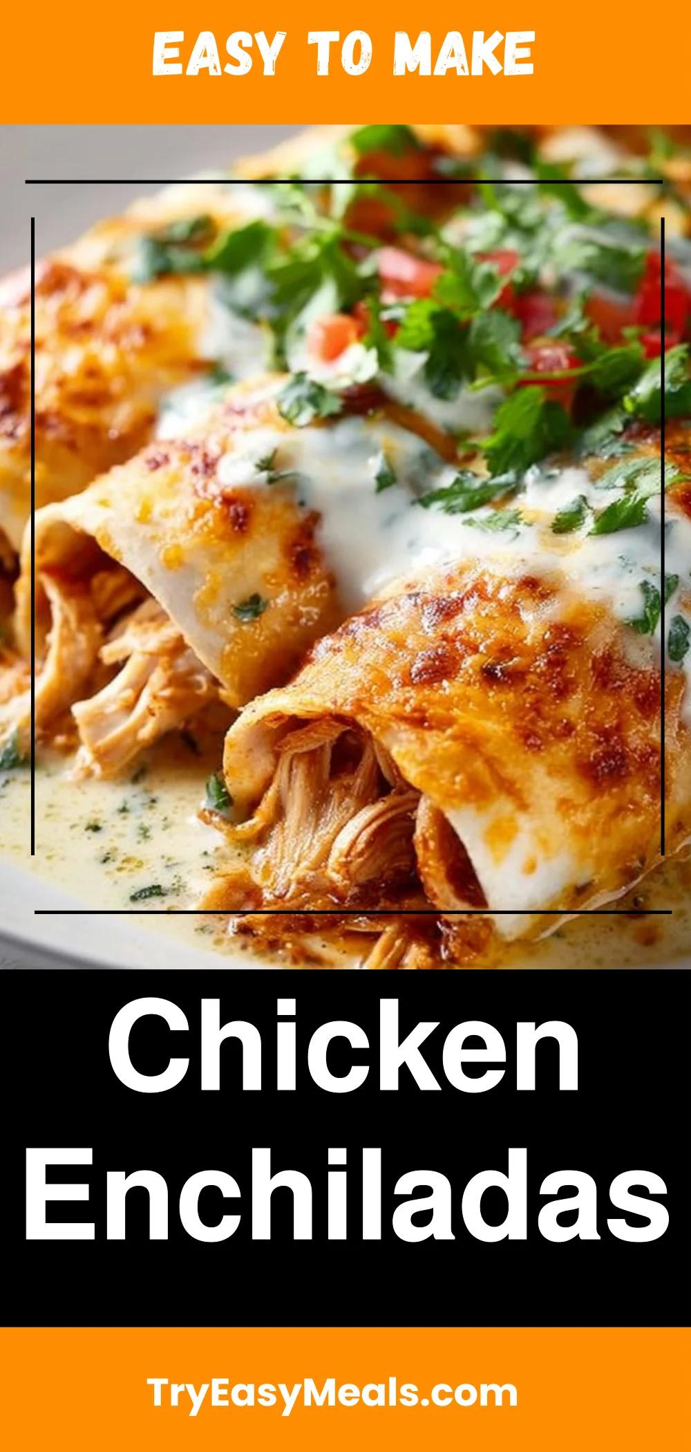 Chicken Enchiladas 1 Chicken Enchiladas