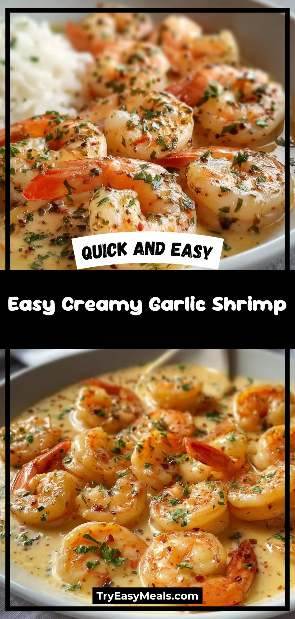 Easy Creamy Garlic Shrimp 1 Easy Creamy Garlic Shrimp