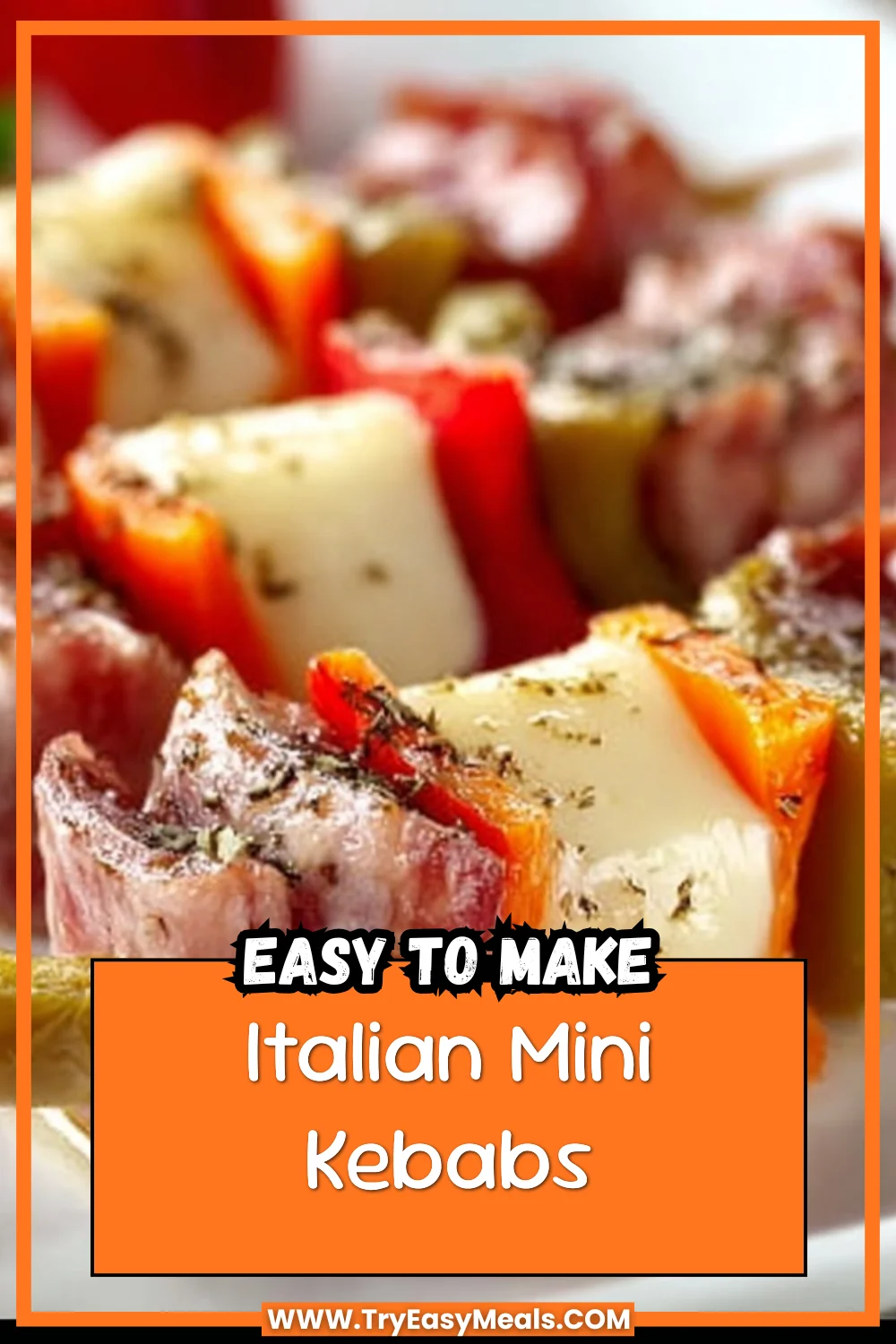 Italian Mini Kebabs 1 Italian Mini Kebabs