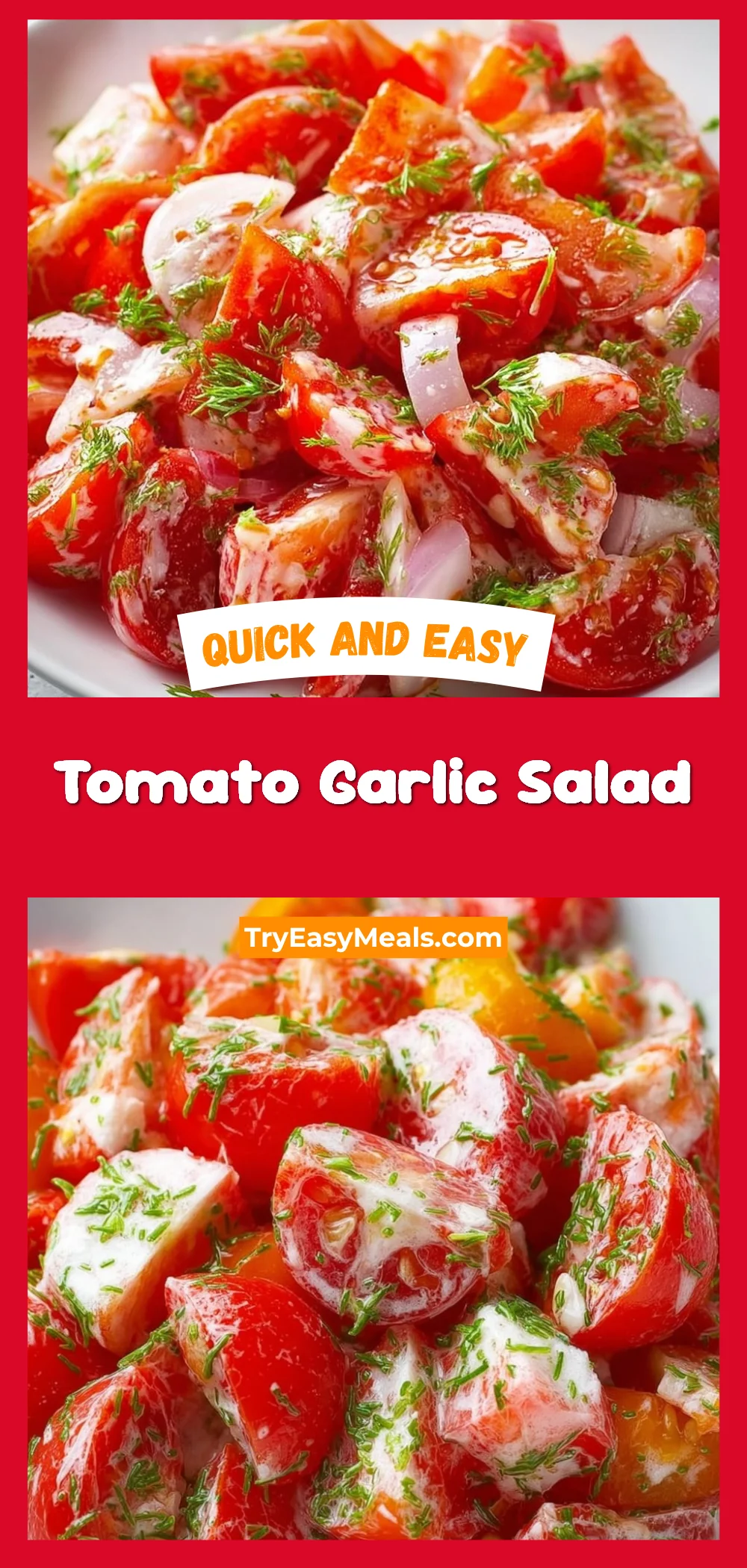 Tomato Garlic Salad 1 Tomato Garlic Salad