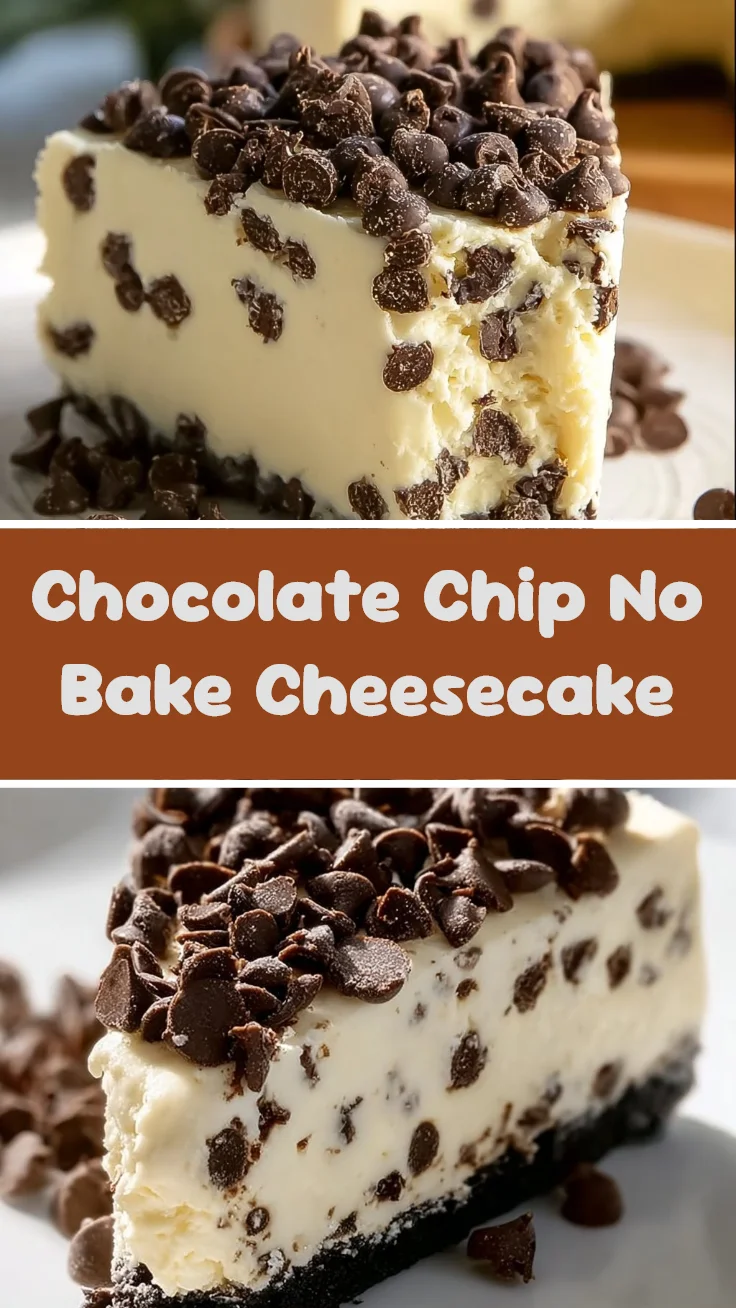 Chocolate Chip No Bake Cheesecake 1 Chocolate Chip No Bake Cheesecake