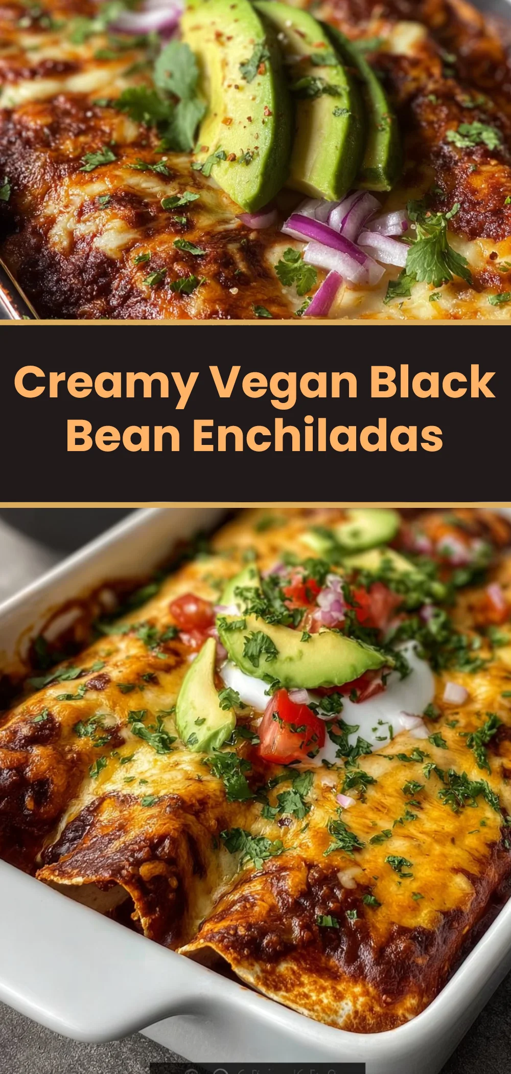 Creamy Vegan Black Bean Enchiladas 1 Creamy Vegan Black Bean Enchiladas