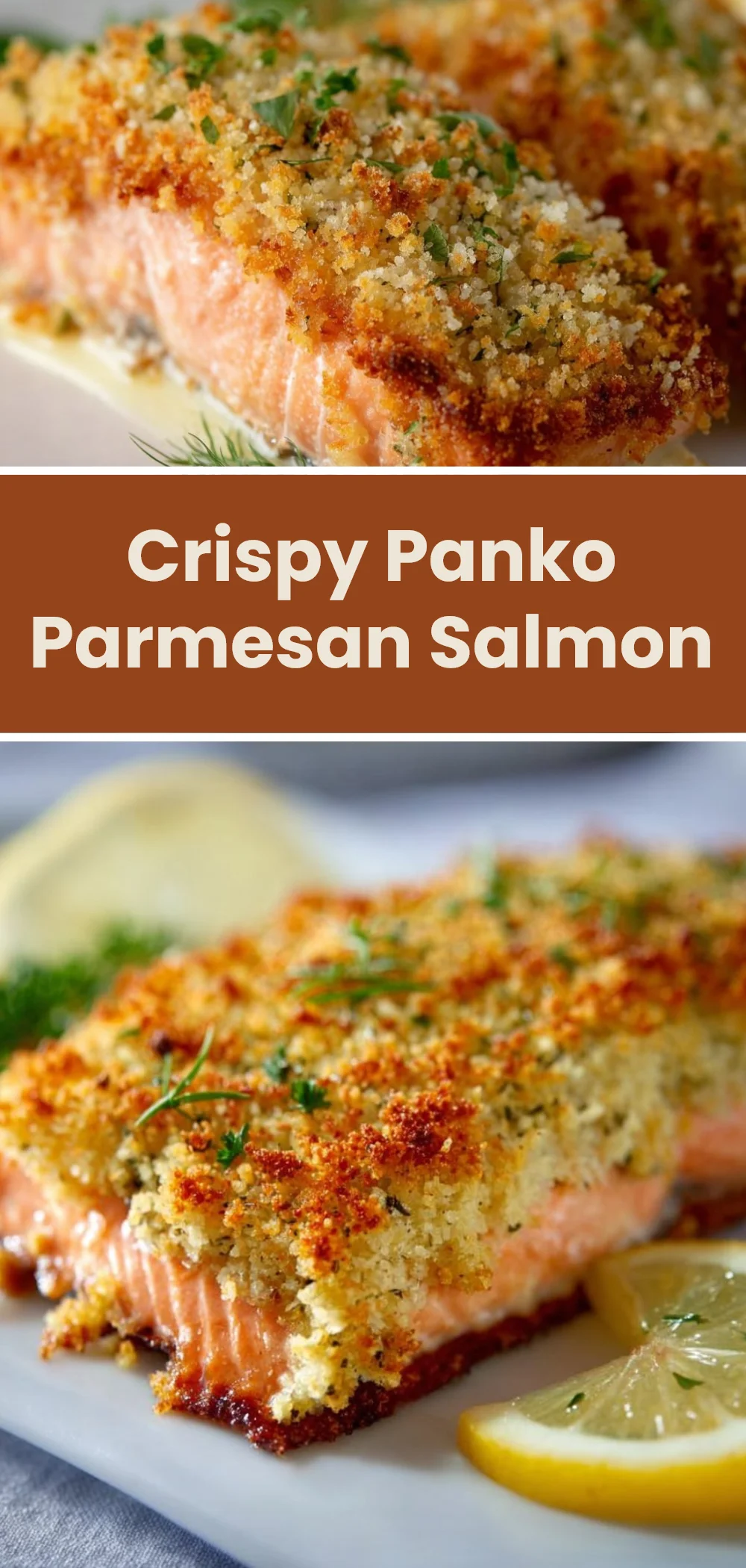 Crispy Panko Parmesan Salmon 1 Crispy Panko Parmesan Salmon
