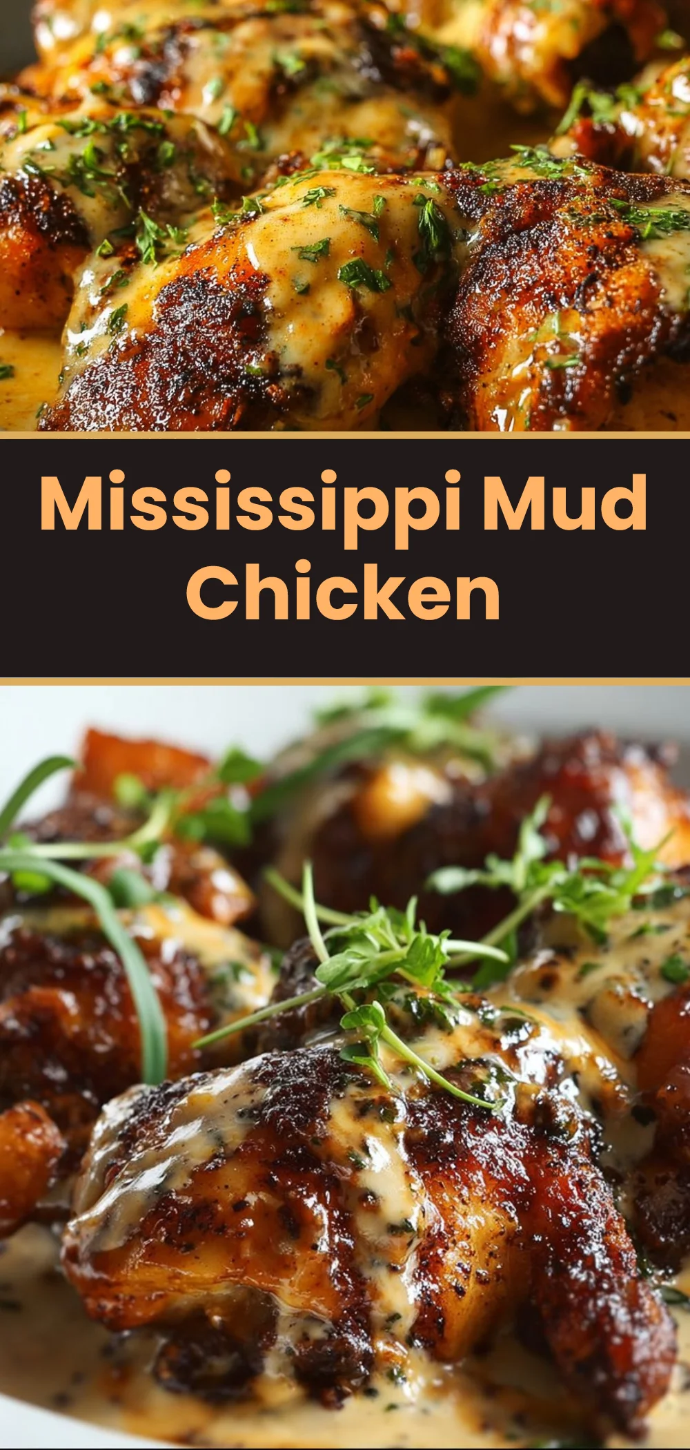Mississippi Mud Chicken 1 Mississippi Mud Chicken