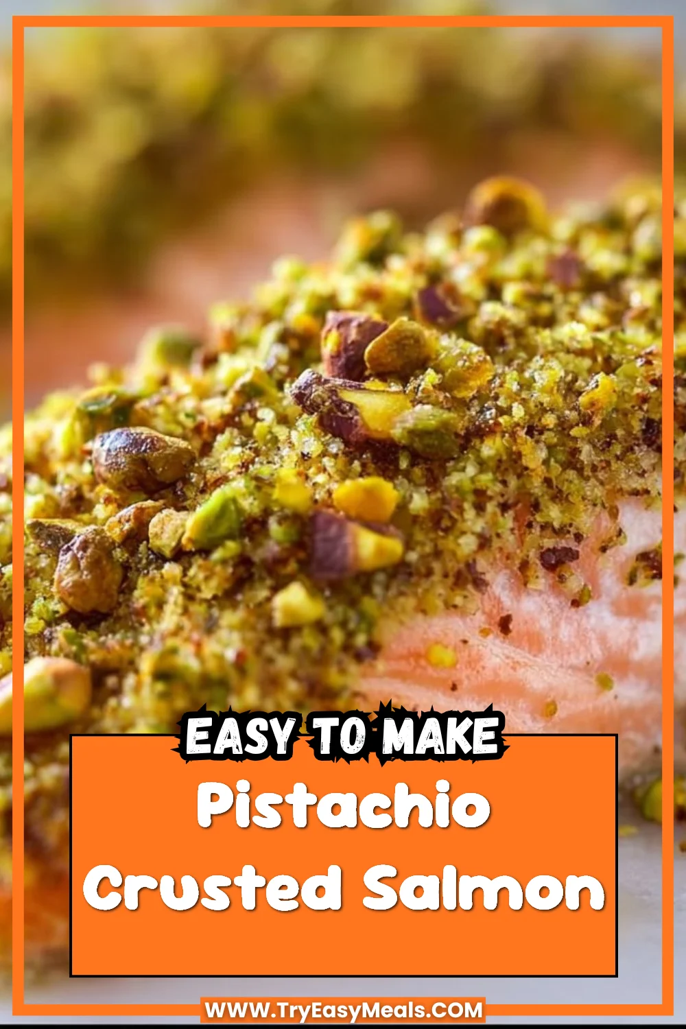 Pistachio Crusted Salmon 1 Pistachio Crusted Salmon