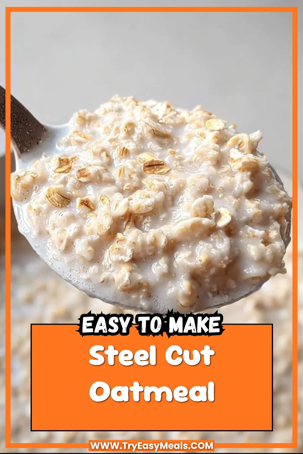 Steel Cut Oatmeal 1 Steel Cut Oatmeal
