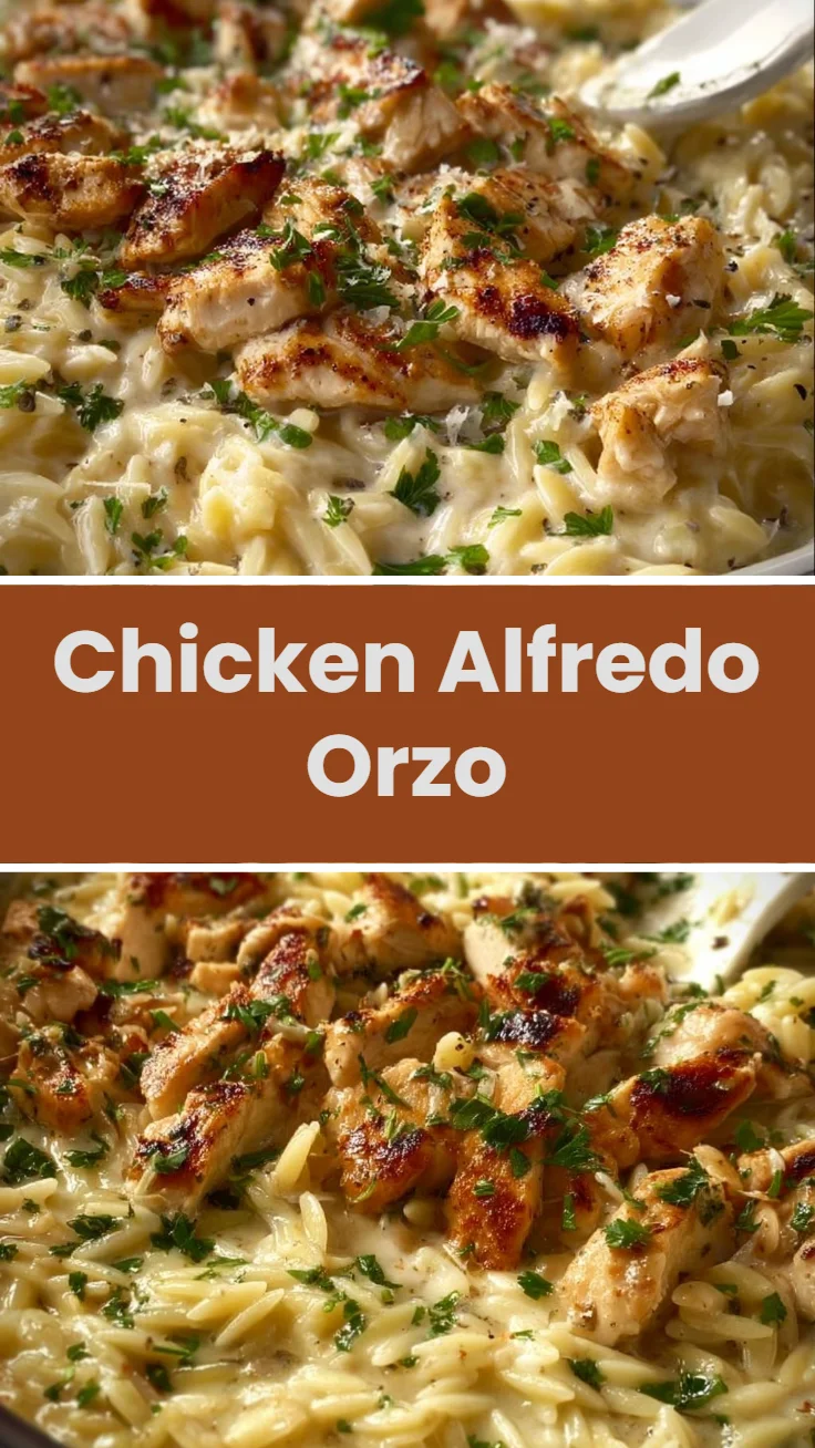Chicken Alfredo Orzo