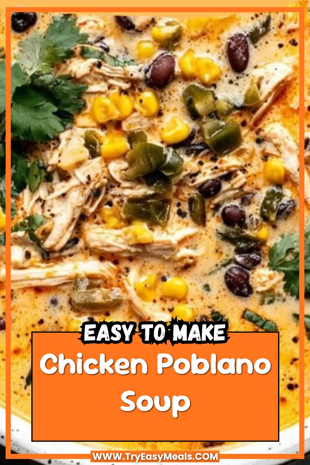 Chicken Poblano Soup