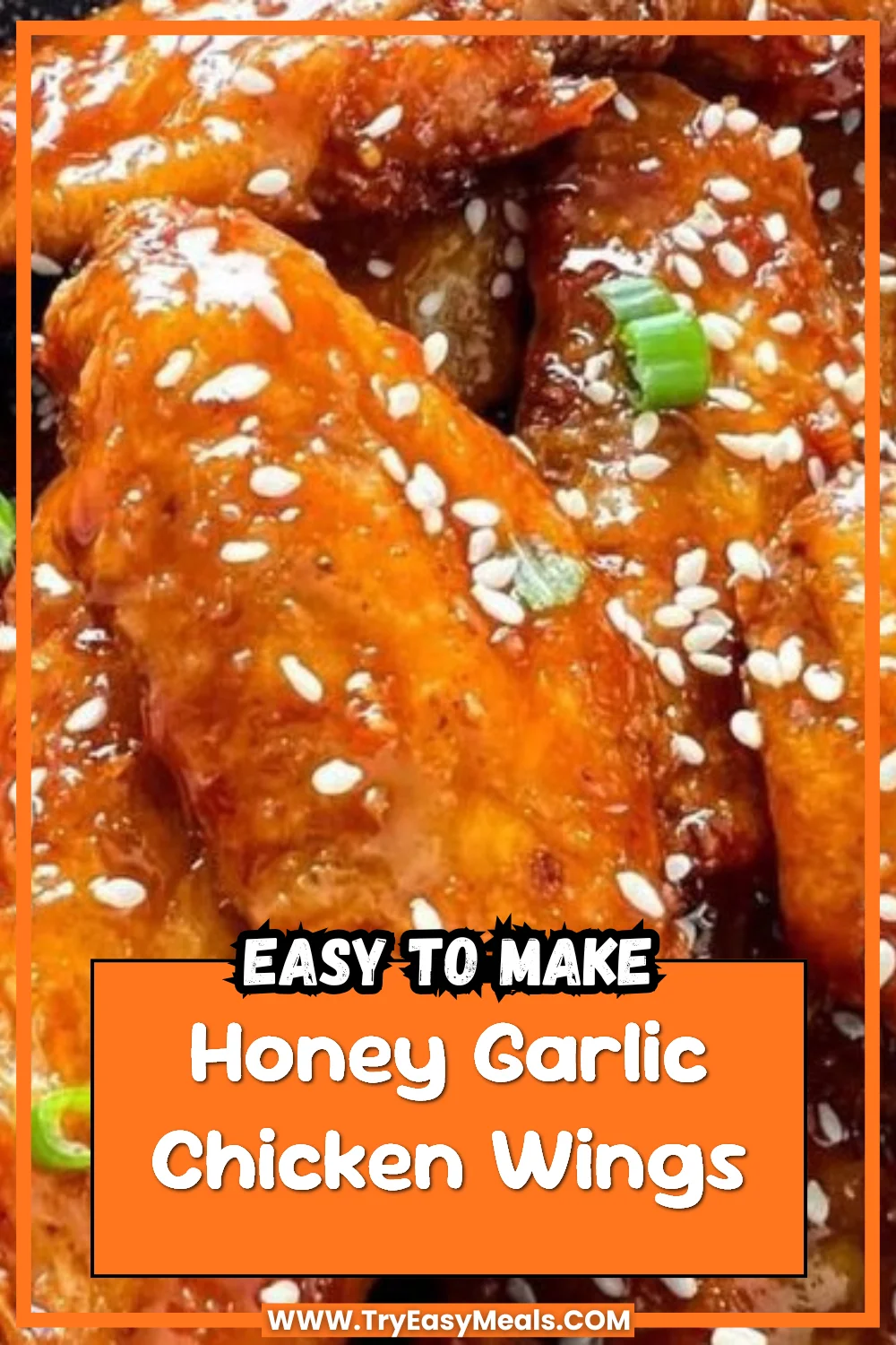 Honey Garlic Chicken Wings