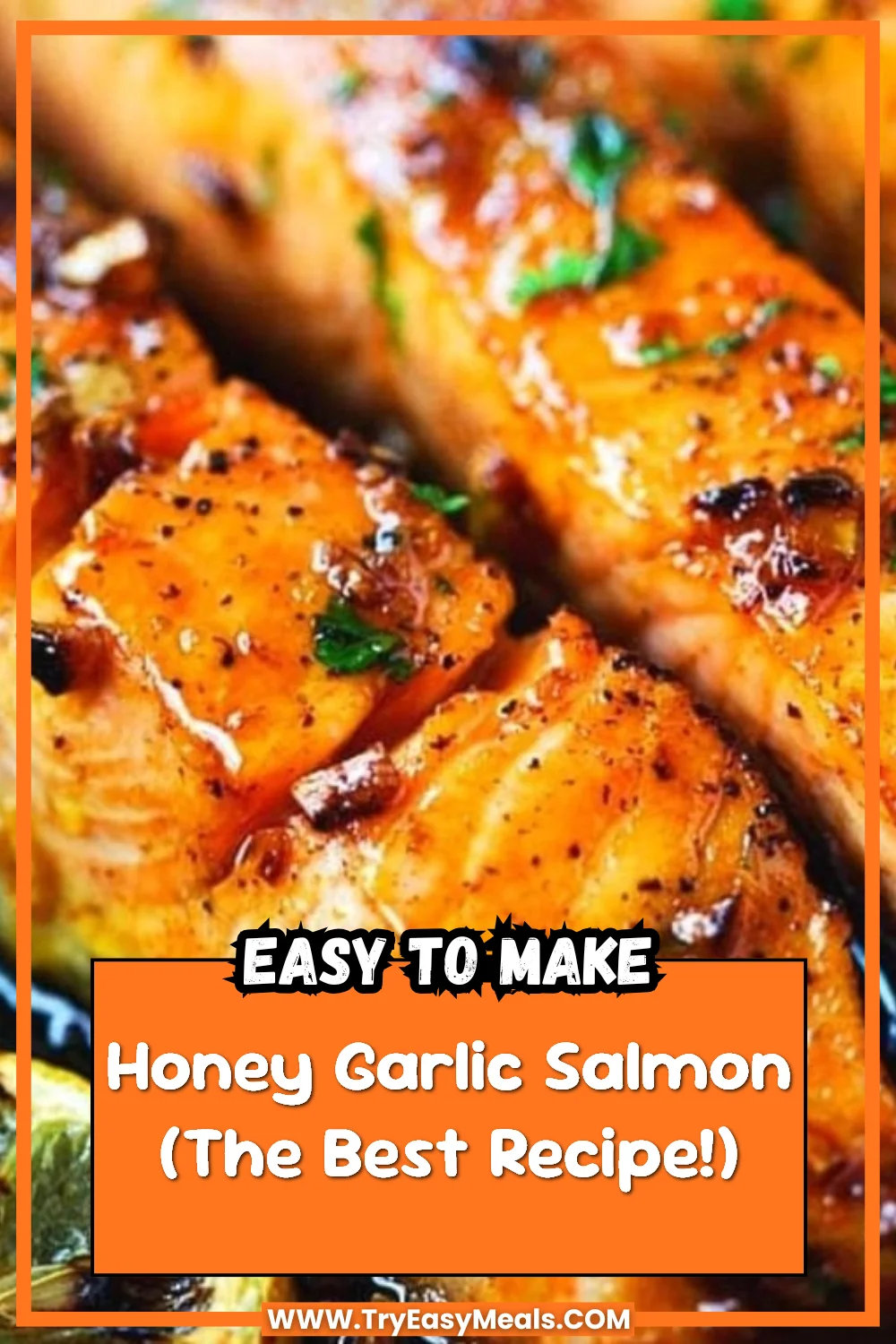 Honey Garlic Salmon (The Best Recipe!)