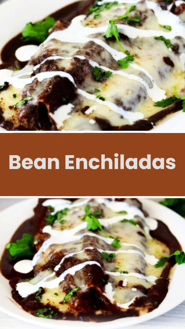 Bean Enchiladas