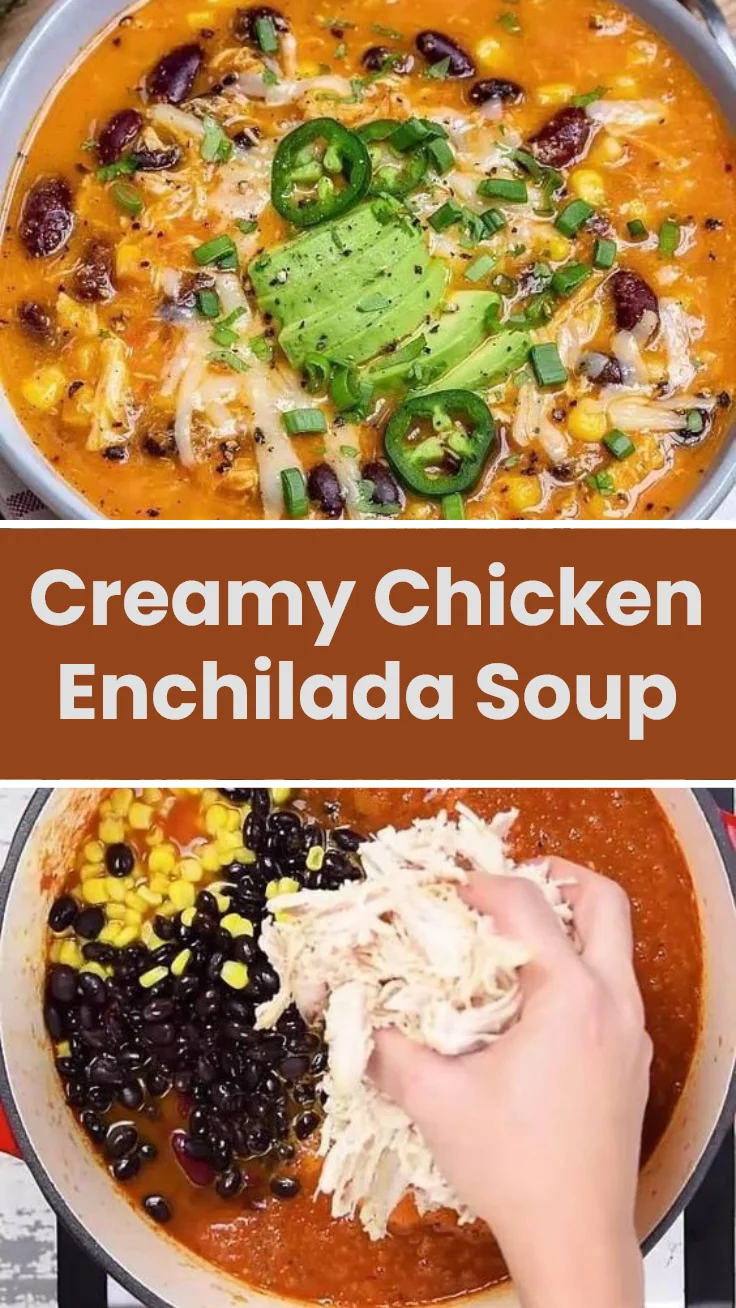Creamy Chicken Enchilada Soup