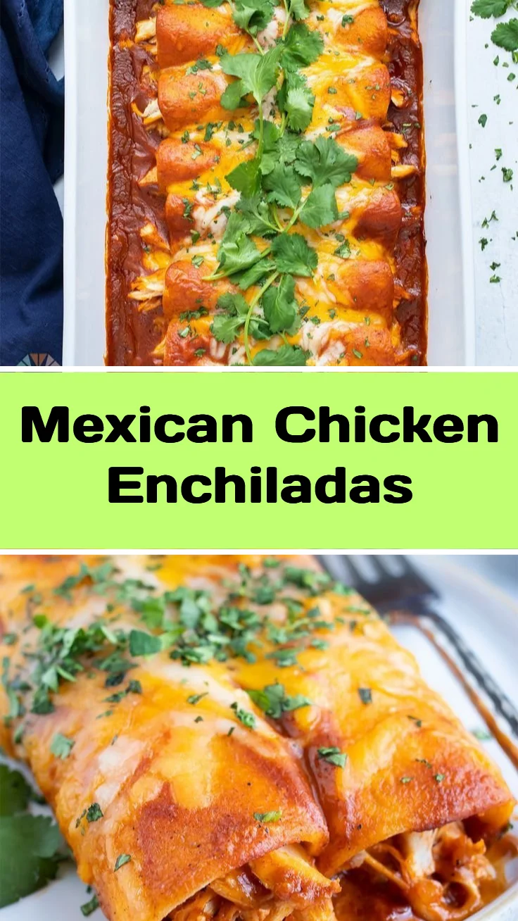 Mexican Chicken Enchiladas