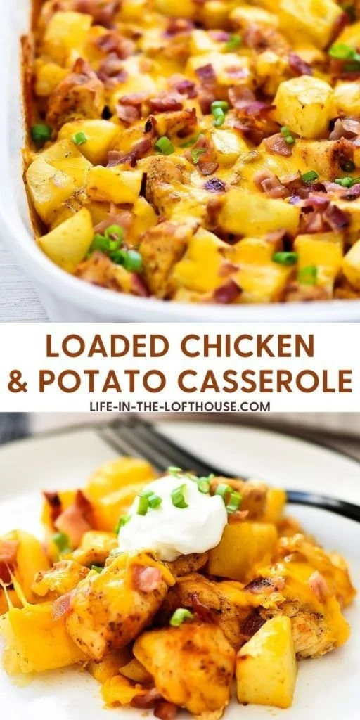Cheesy chicken and potato bake dish ready to serve.