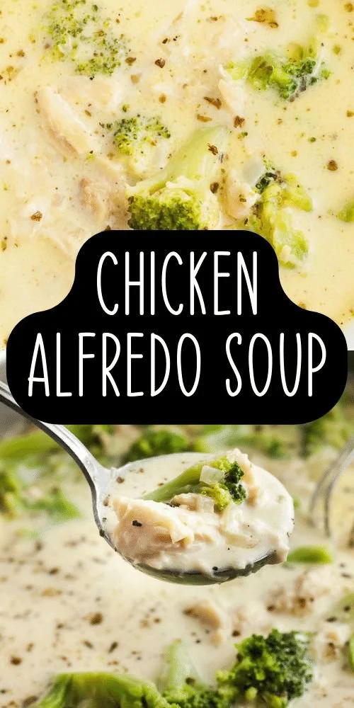 A bowl of creamy Chicken Alfredo soup garnished with herbs and served with bread.