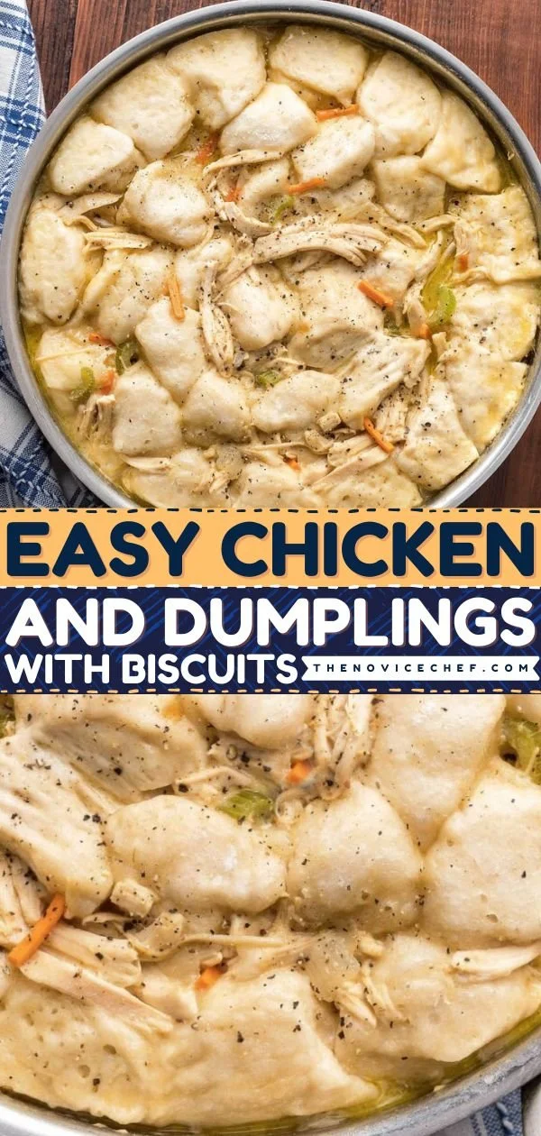 Delicious bowl of homemade Chicken and Dumplings with tender chicken and fluffy dumplings.