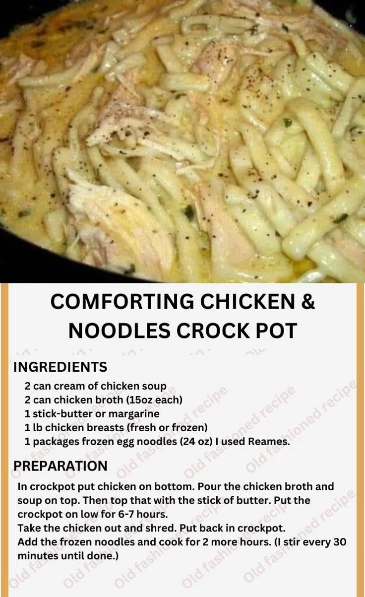 Delicious chicken noodle soup cooked in a crock pot