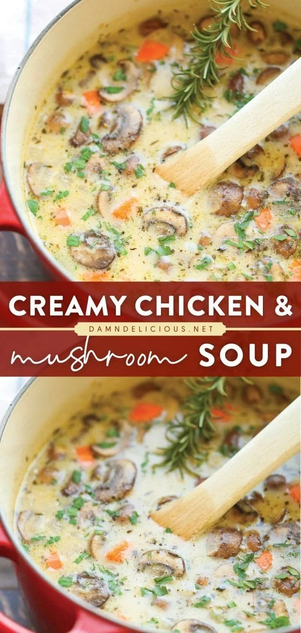 Bowl of creamy chicken and mushroom soup garnished with fresh herbs