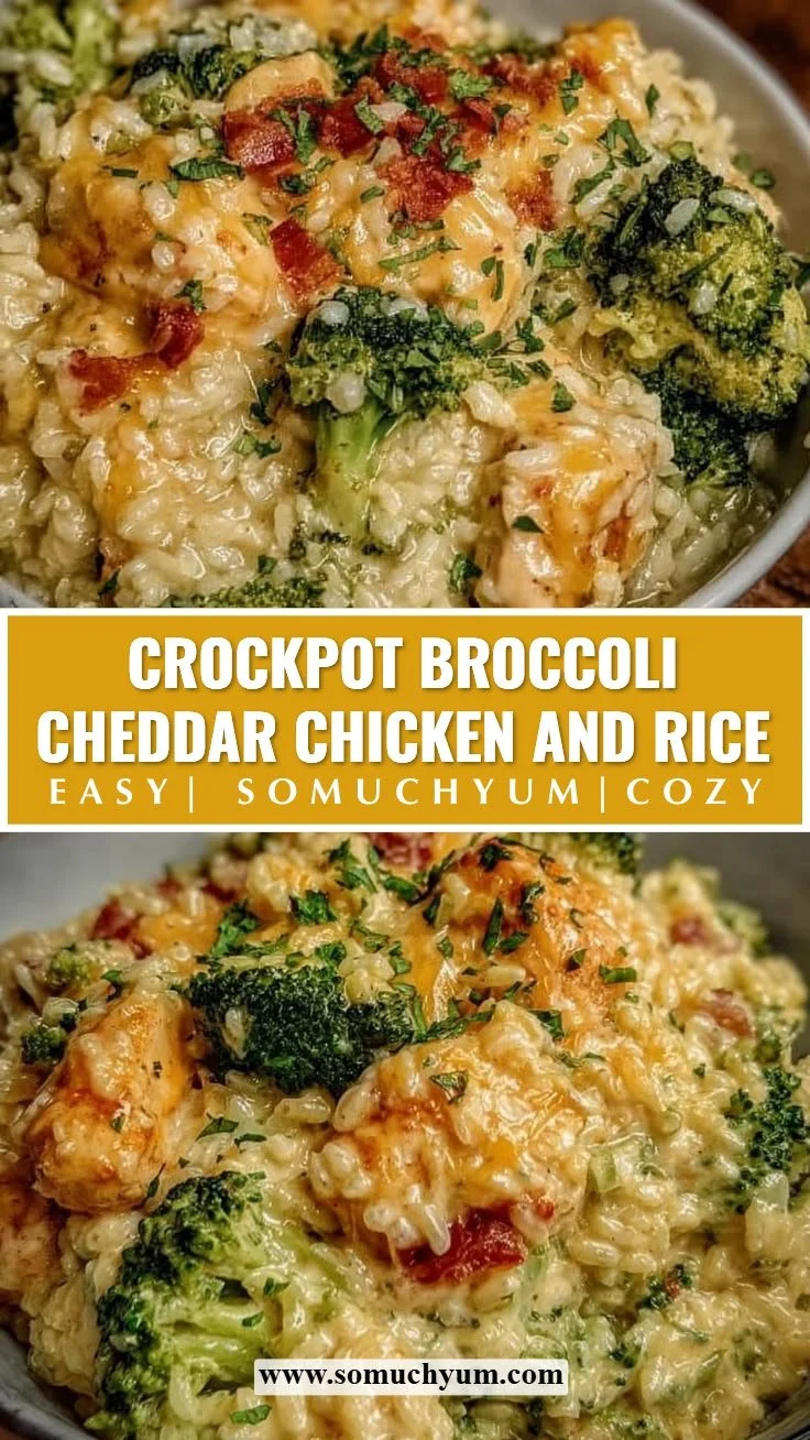 Crockpot broccoli cheddar chicken and rice served for an easy dinner for two