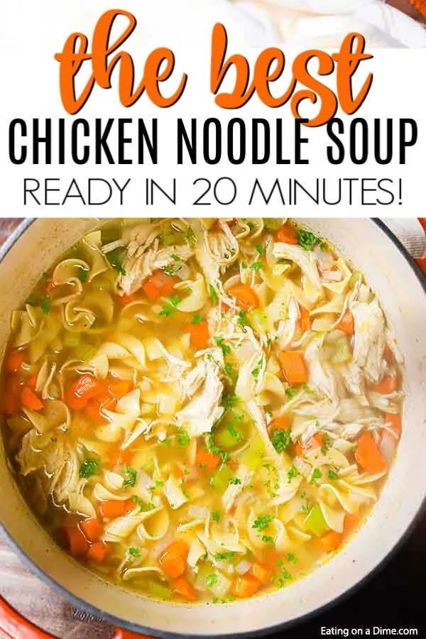 Bowl of homemade chicken noodle soup with vegetables and herbs