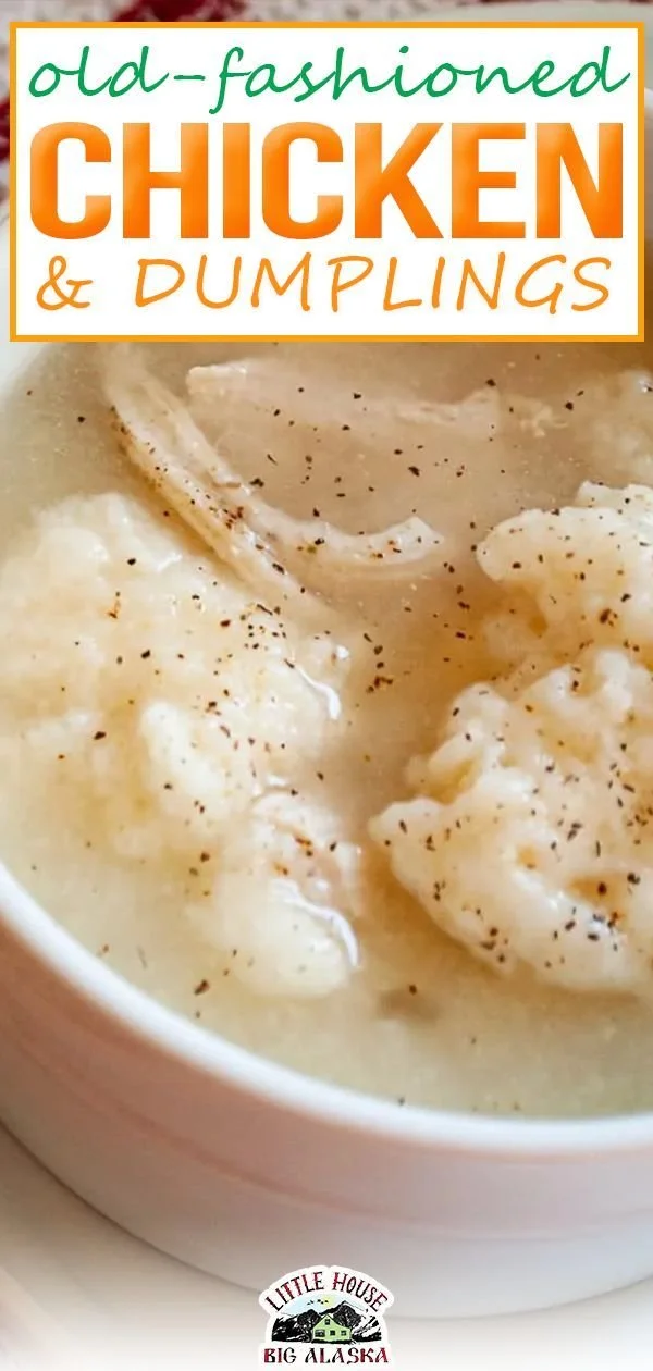 Bowl of Old Fashioned Chicken and Dumplings ready to serve