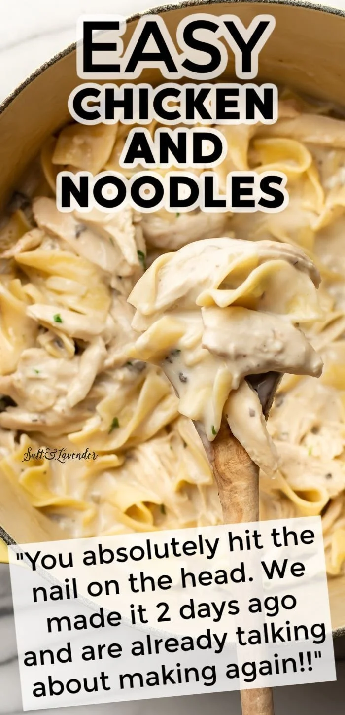 One Pot Chicken and Noodles dish served in a bowl, perfect for easy dinner recipes.