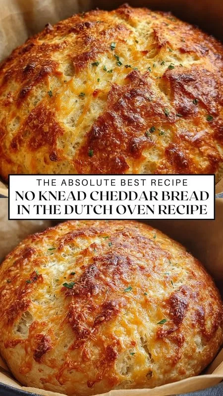 Freshly baked warm no-knead cheddar bread in a Dutch oven
